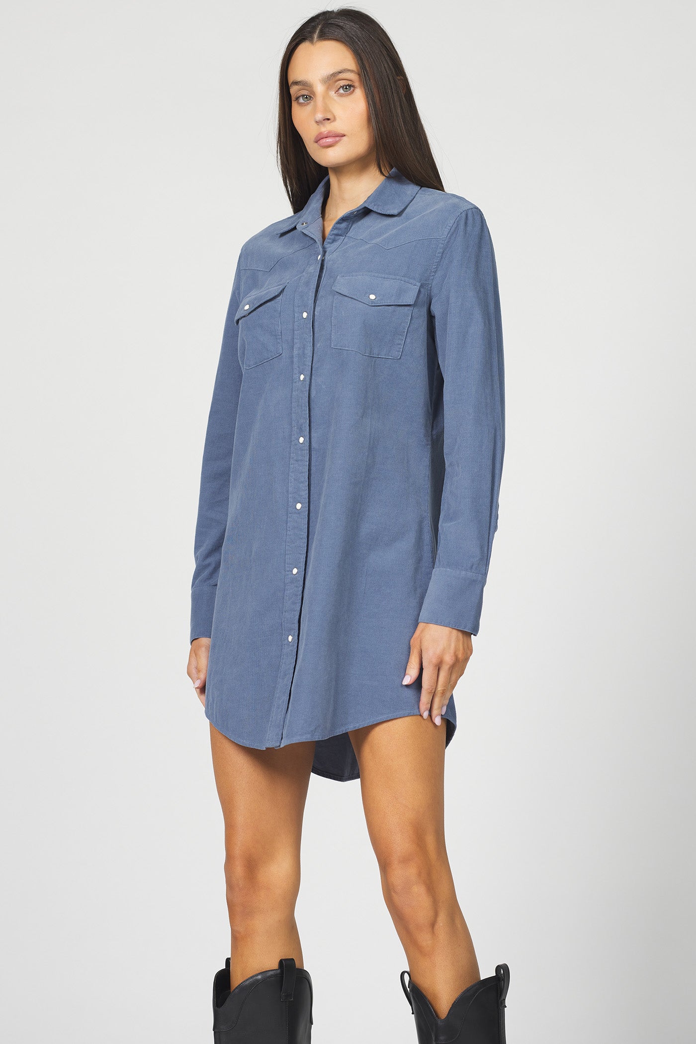 VINTAGE INDIGO RORY DRESS