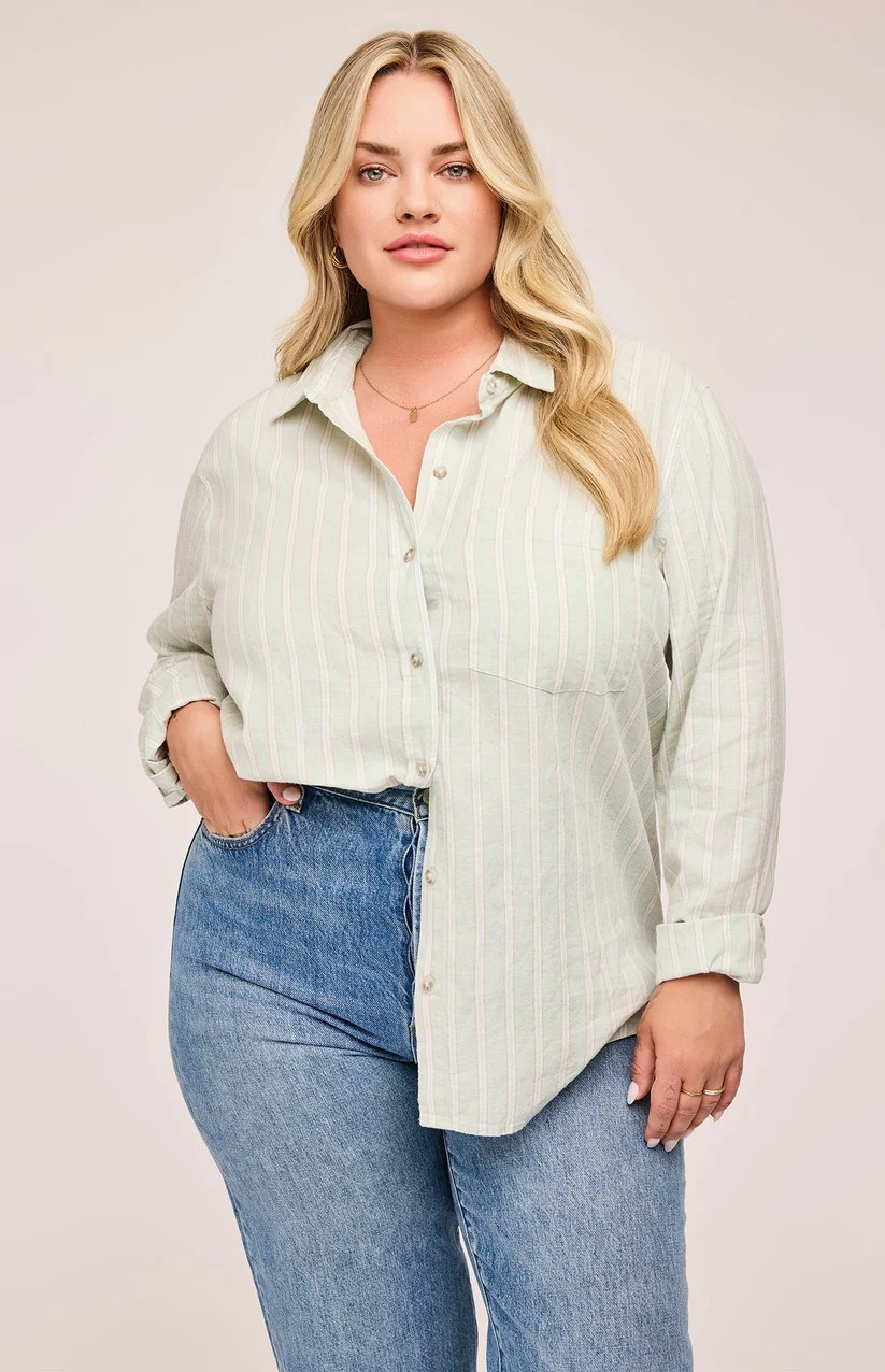 GENTLE FAWN CACTUS STRIPE DOMINIQUE BUTTON-DOWN